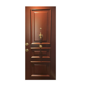 Porte appartement